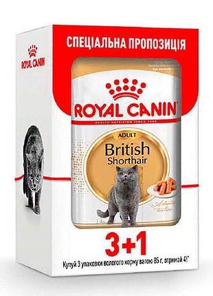 Royal canin british shorthair adult (роял канин для кошек породы британская короткошерстная) акция 9+3