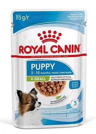 Royal canin xsmall puppy вологий корм для цуценят мініатюрних порід 85 г