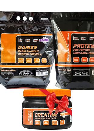 Протеин 2 кг + гейнер 3 кг + креатин в подарок германия bioline nutrition