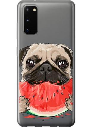 Чехол на samsung galaxy s20 мопс и арбуз из пластика fch_0011695