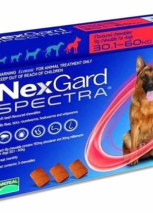 Nexgard spectra (нексгард спектра) - таблетки для собак від бліх і кліщів xl 30-60кг 1 таблетка