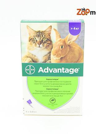 Advantage bayer капли против блох больше 4-х кг