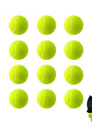 Набор мячей для большого тенниса swdn tennis ball ne-tt-12 в чехле 12 штук
