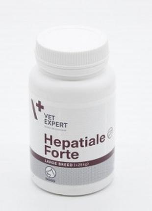 Vet expert hepatiale forte small breedcats гепатіале форте ларджбрід банка 40 таблеток.