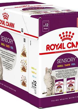 Royal canin multi-pac sensory набір вологих кормів для котів, 12х85 г