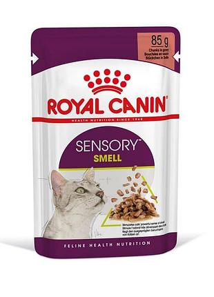 Royal canin sensory smell in jelly 85г корм для вибагливих котів в желе 1 шт