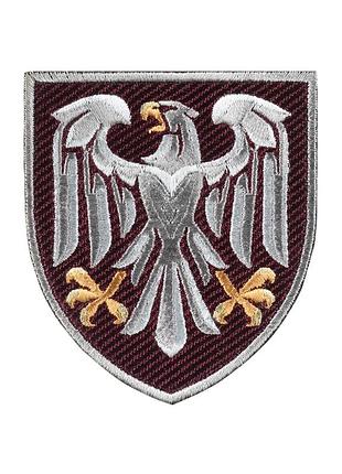 Шеврон 82 дшв кольоровий