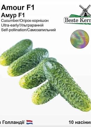 Огурец амур f1 (10 семечек)/(5 пачек в упаковке) тм beste kern