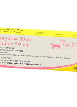 Синулокс, таблетки 250 мг - 10 таблеток