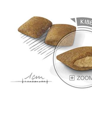 Royal canin (роял канін) mini exigent сухий корм для вибагливих собак 3 кг