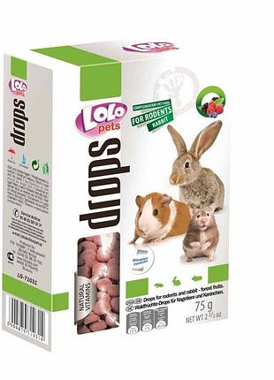 Дропси для гризунів лісова ягода 75 г lolopets 71031