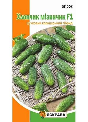 Огірок корнішон хлопчик мізинчик f1 (20 пачок) 0,5г тм яскрава