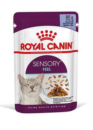 Royal canin sensory feel in jelly 85г корм для вибагливих котів в желе 1 шт