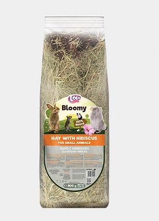 Сено lolopets bloomy с цветком гибискуса для грызунов, 800 г
