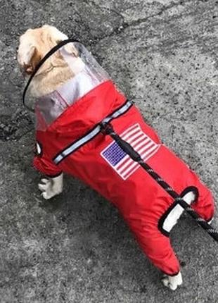 Дощовик usa червоний s