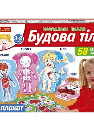 Учебные пазлы "телосложение" 13164012, 58 больших пазлов, плакат