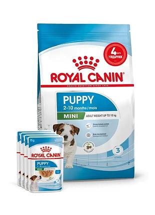 Акция royal canin mini puppy набор корма для щенков 2 кг + 4 пауча