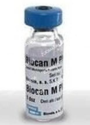 Біокан м-вакцина від мікроспорії для собак, bioveta біокан м (від мікроспорії для собак) bioveta, чехія
