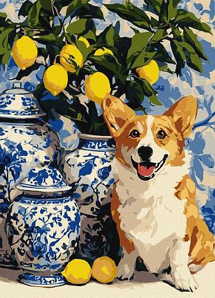 Картина за номерами "коргі та лимони" ©art_selena_ua kho6882, 40х40 см