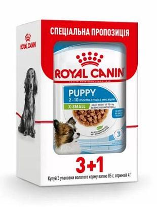 Акция royal canin puppy x-small влажный корм для собак миниатюрных пород с домашней птицей 3+1 по 85 г