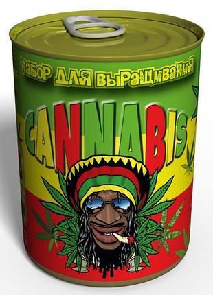 Набір для вирощування cannabis — вирощування конопель — насіння конопель
