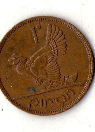 Республика ирландия (ωire) 1 пенни, 1966 год бронза, 9.45g, ø 30.9mm no2323