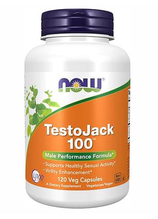 Testo jack 100 - 120 vcaps