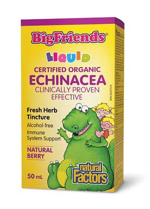 Bigfriends echinacea alcohol-free fresh herb tincture for kids - 50 ml