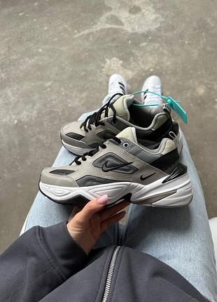 Кроссовки nike m2k