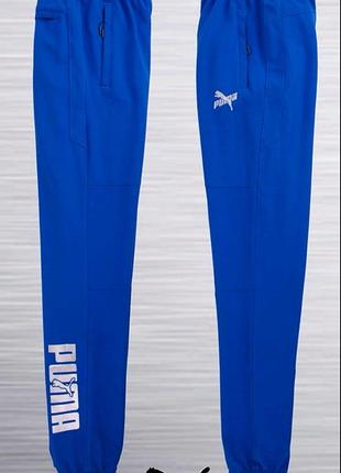 Спортивные штаны puma