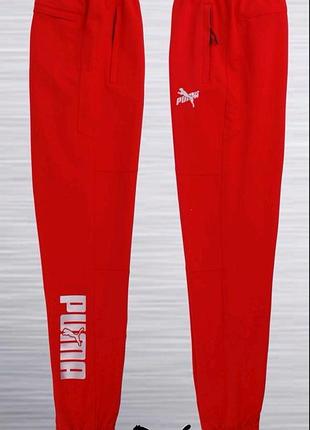 Спортивные штаны puma