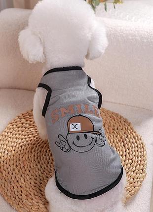 Сітчаста майка для котів pet style "smile" сіра l