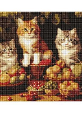 Алмазная мозаика "котики и фрукты" 40х50 см