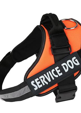 Шлея для котов и кошек усиленная pet style "service dog" оранжевая xl