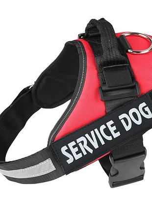 Шлея для котов и кошек усиленная pet style "service dog" красная 2xl