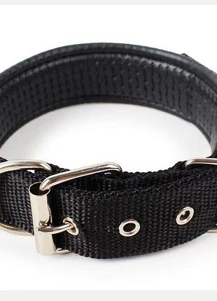 Ошейник для котов и кошек pet style "классический" черный 32-39 см