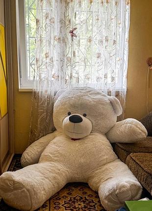 Гігантський плюшевий ведмідь (торг!)