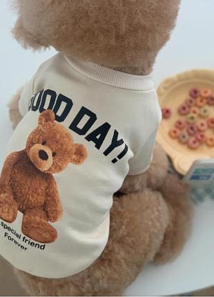 Свитер для котов и кошек pet style "good day" белый 2xl