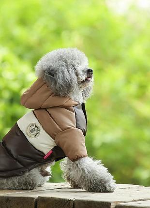 Курточка для котов и кошек pet style "club" коричневая 20 (xl)