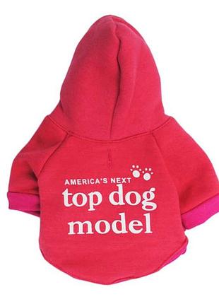 Толстовка для котов и кошек pet style "top model" красная l