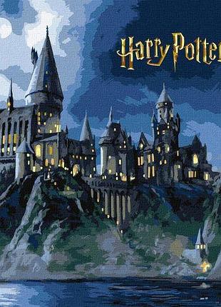 Картина по номерам с красками металлик "harry potter: хогвартс ночью" 40х50см