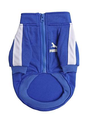 Спортивна кофта для котів pet style "sport" синя 3xl