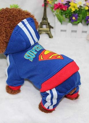 Комбинезон для собак pet style "superman" синий l