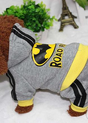 Комбінезон для котів pet style "batman" сірий 2xl