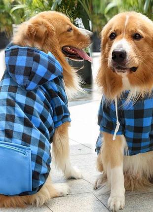 Худи для котов и кошек с карманом pet style "сосиска" черно-синяя клетка 2xl