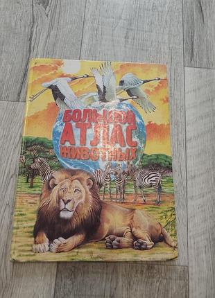 Книга большой атлас животных