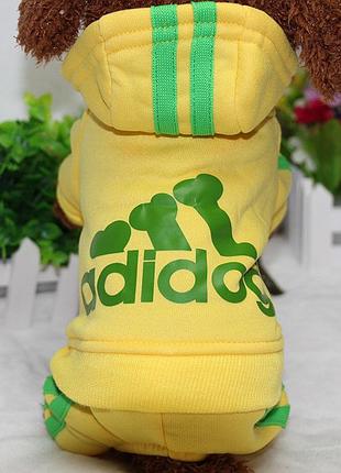 Комбінезон для котів pet style "adidog" жовтий 2xl