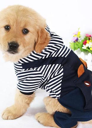 Костюм для собак pet style "bear" s