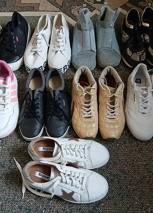 Жіночі кросівки adidas,levis,dune,puma,kappa