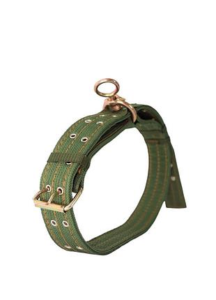 Ошейник для больших собак pet style "hunter" зеленый 1,5 метр